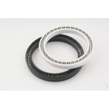 Glass Fibre Filled PTFE Spring Energized Seals